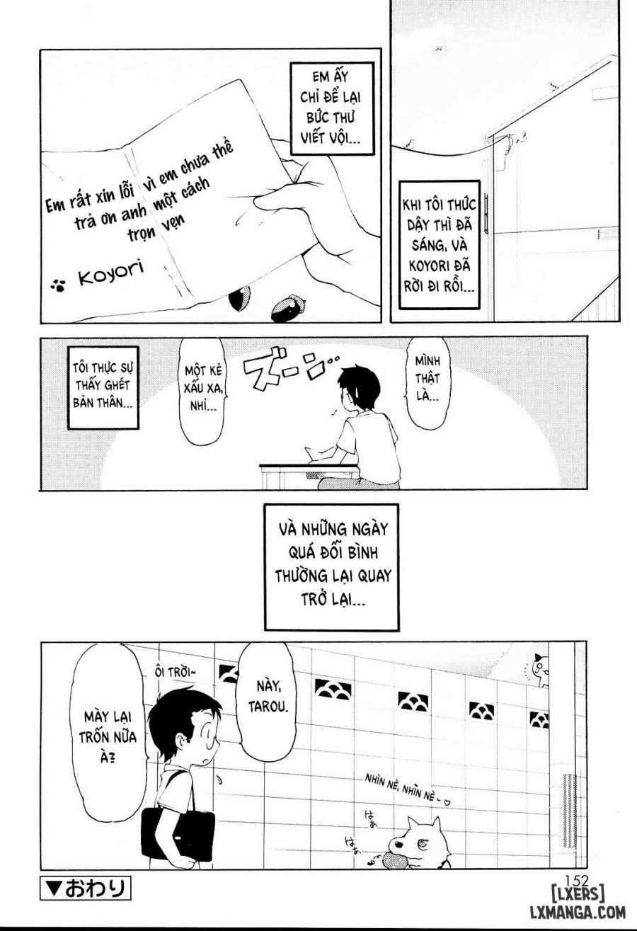 Nekomimi Returned Favor 