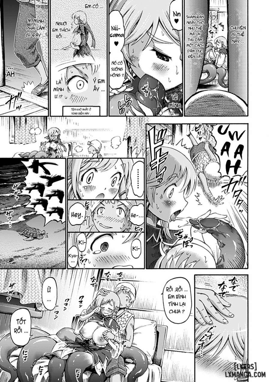 My Little Sister Is A Scylla 