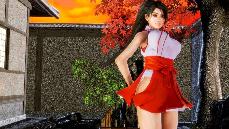 Momiji's Master 
