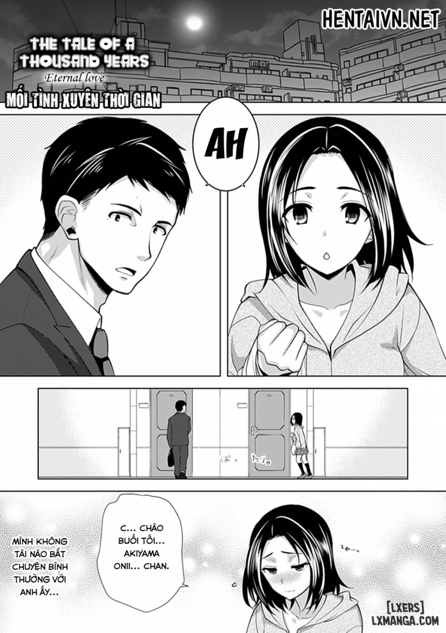 Millenium Story 