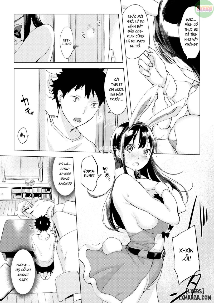 Bunny Lady 