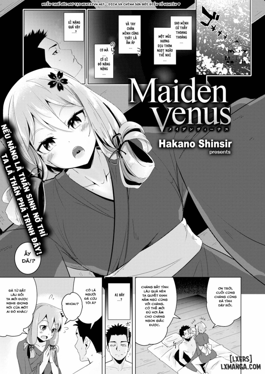 Maiden Venus 
