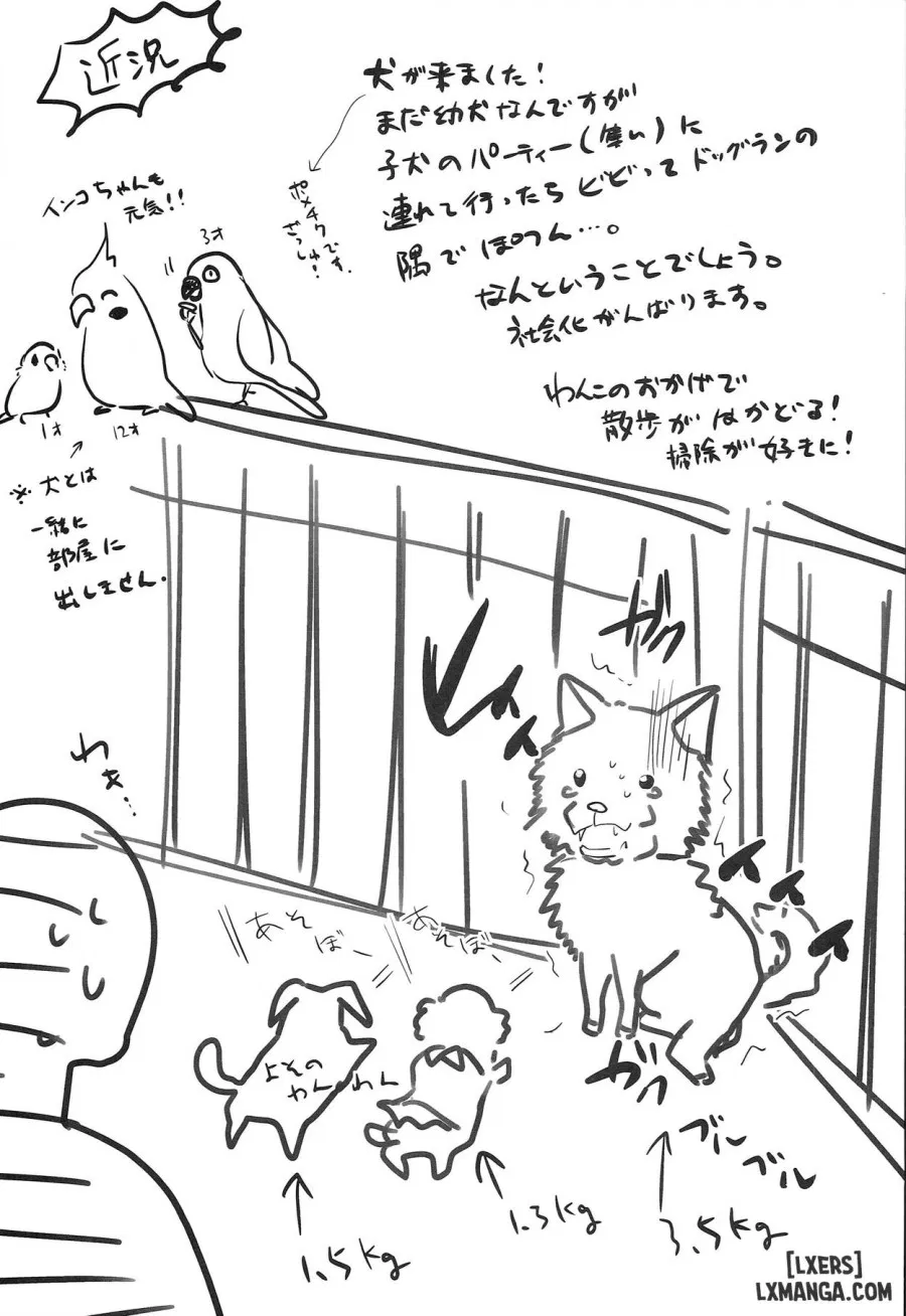 Match Uri no Otokonoko 