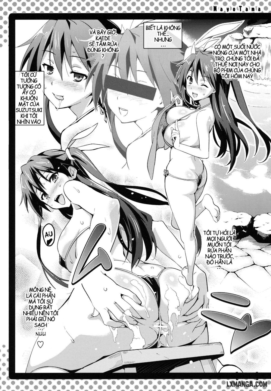 Mayo Tama 
