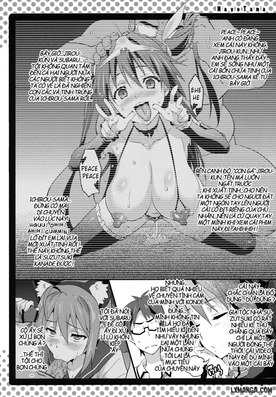 Mayo Tama 