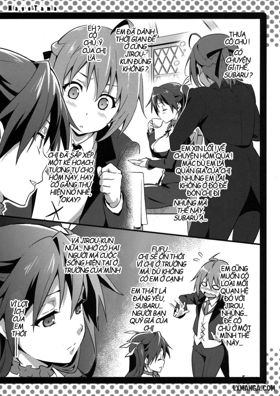 Mayo Tama 