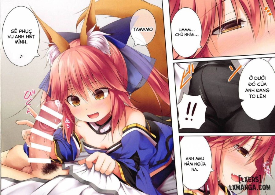 Lolikkitsune Tamamo-chan 