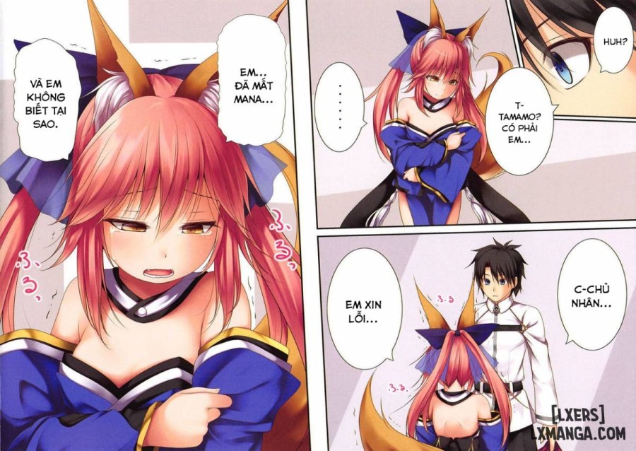 Lolikkitsune Tamamo-chan 