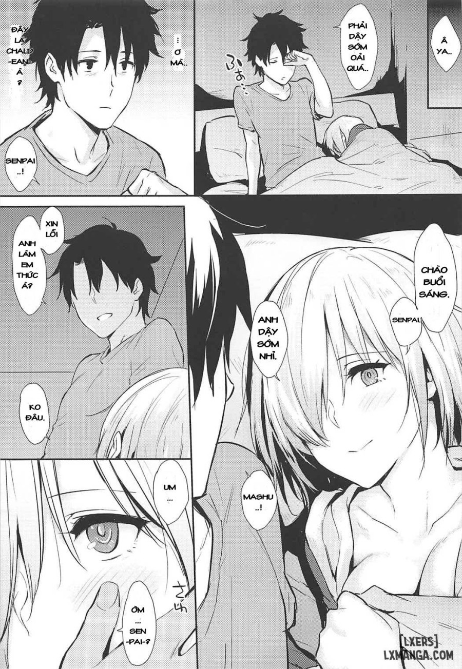 Mash-ppoi no 