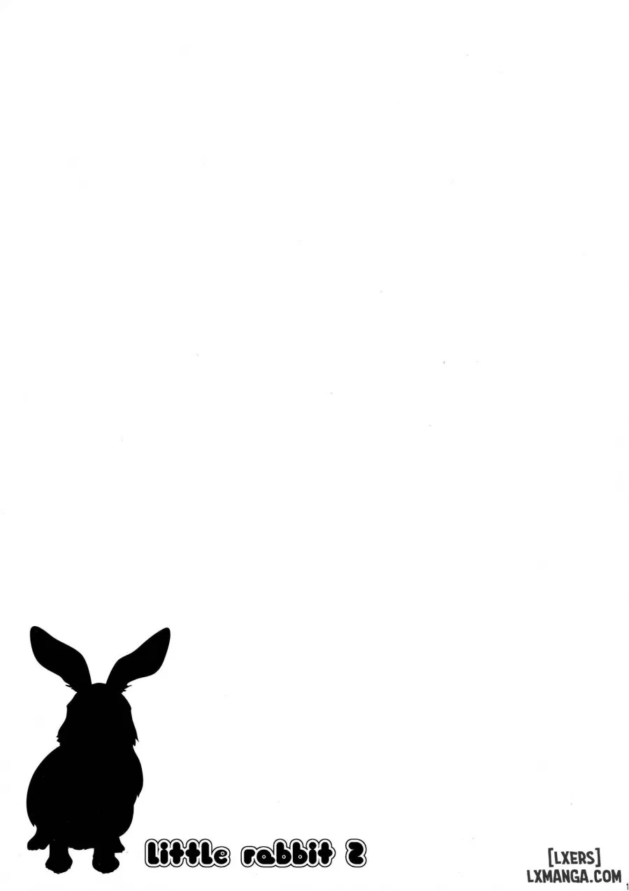 Little Rabbit 2 