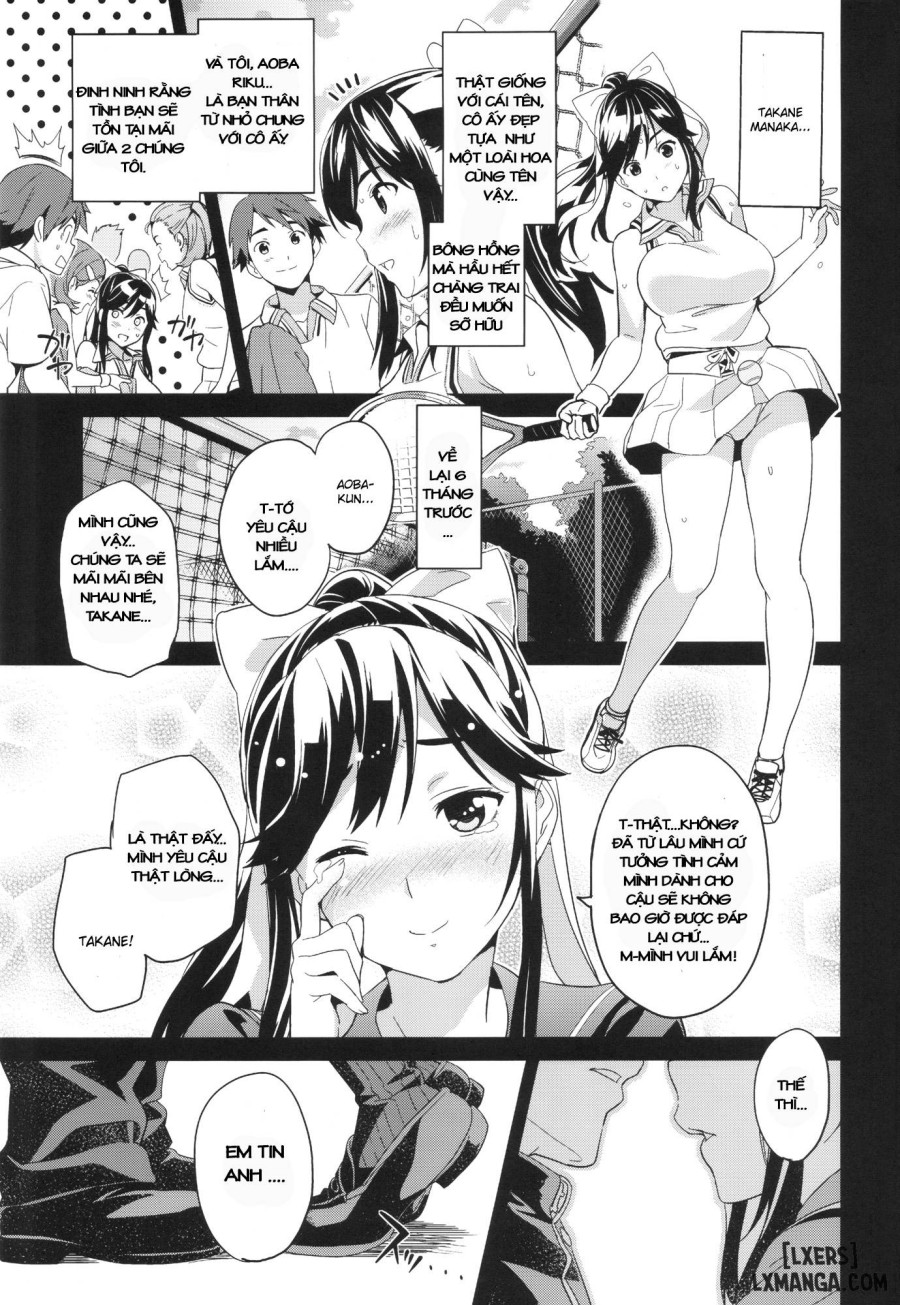 Mana Tama Plus 