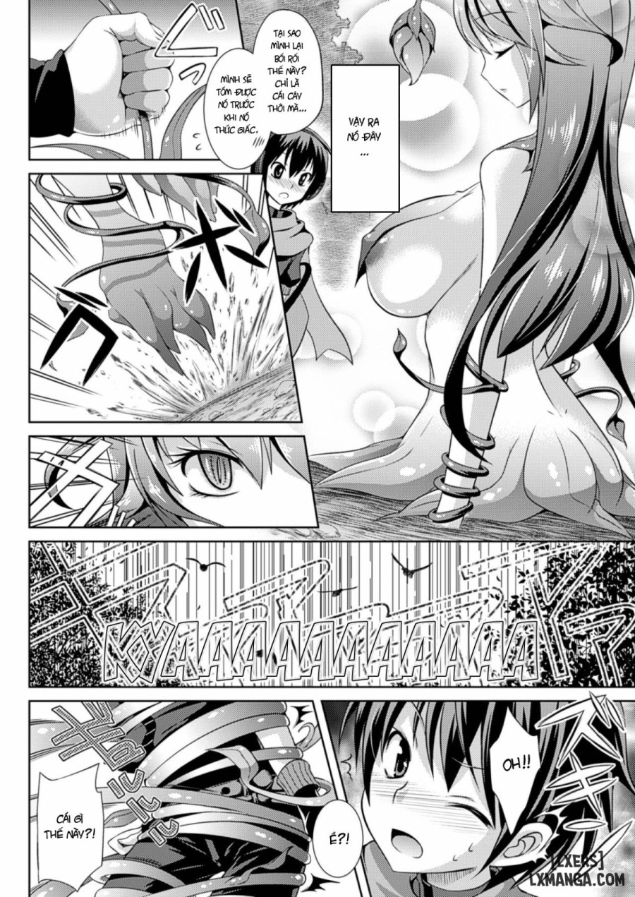 Mandragora of Pleasure 