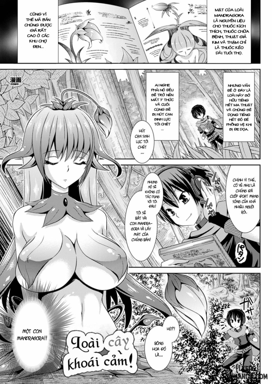 Mandragora of Pleasure 