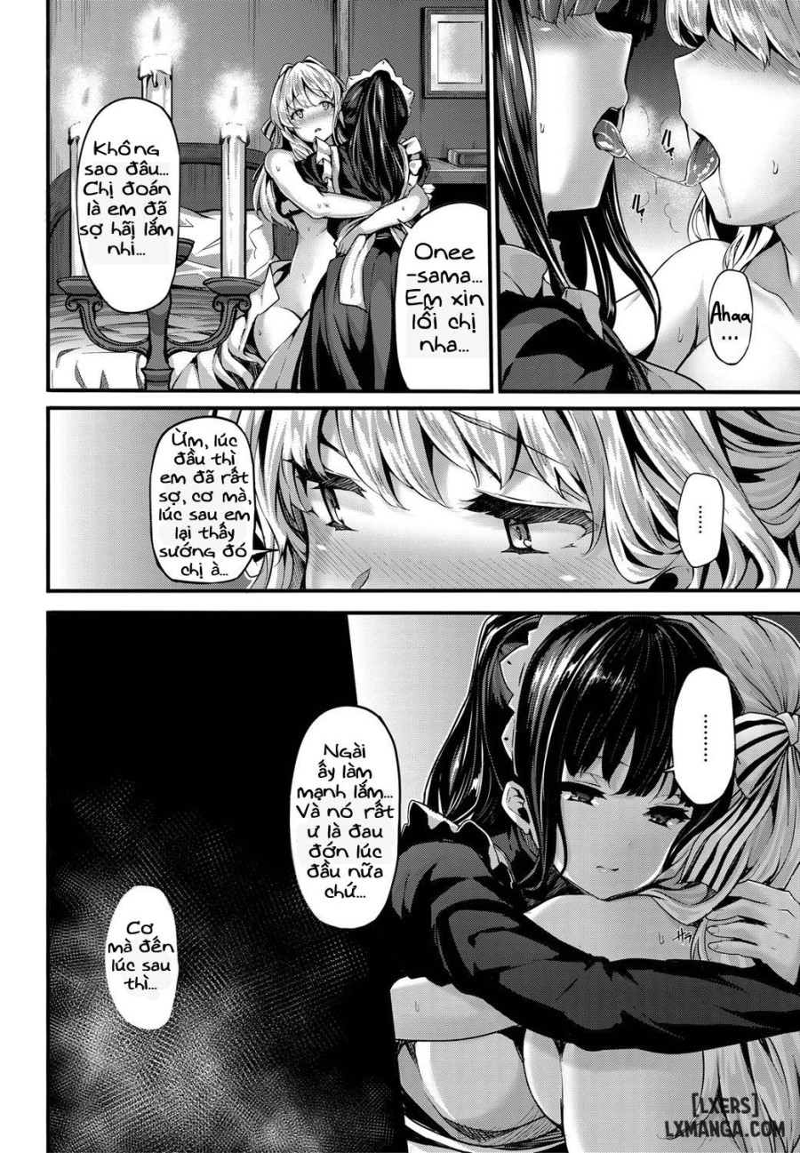 Lily Ties 