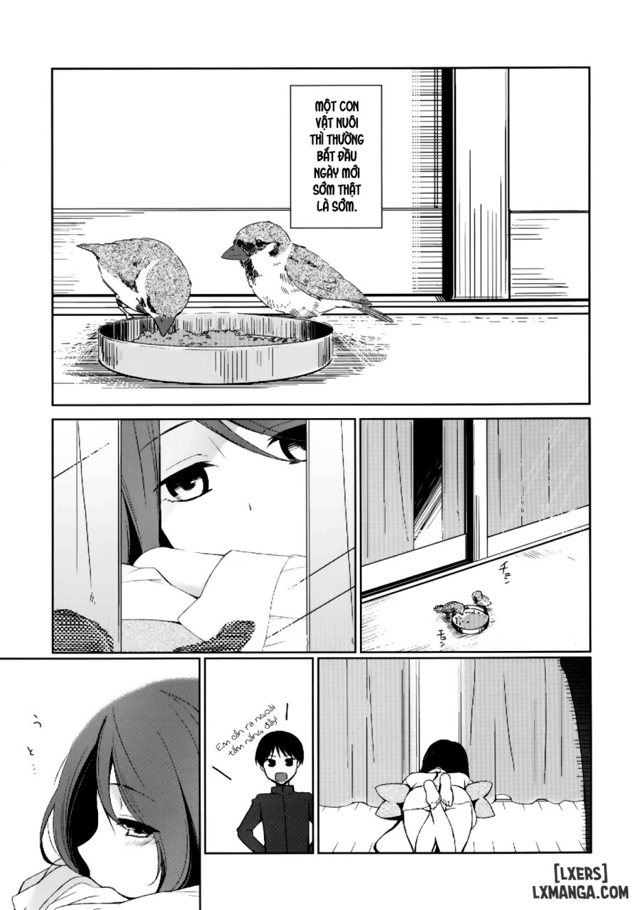 Kanojo no Pet Jinsei 