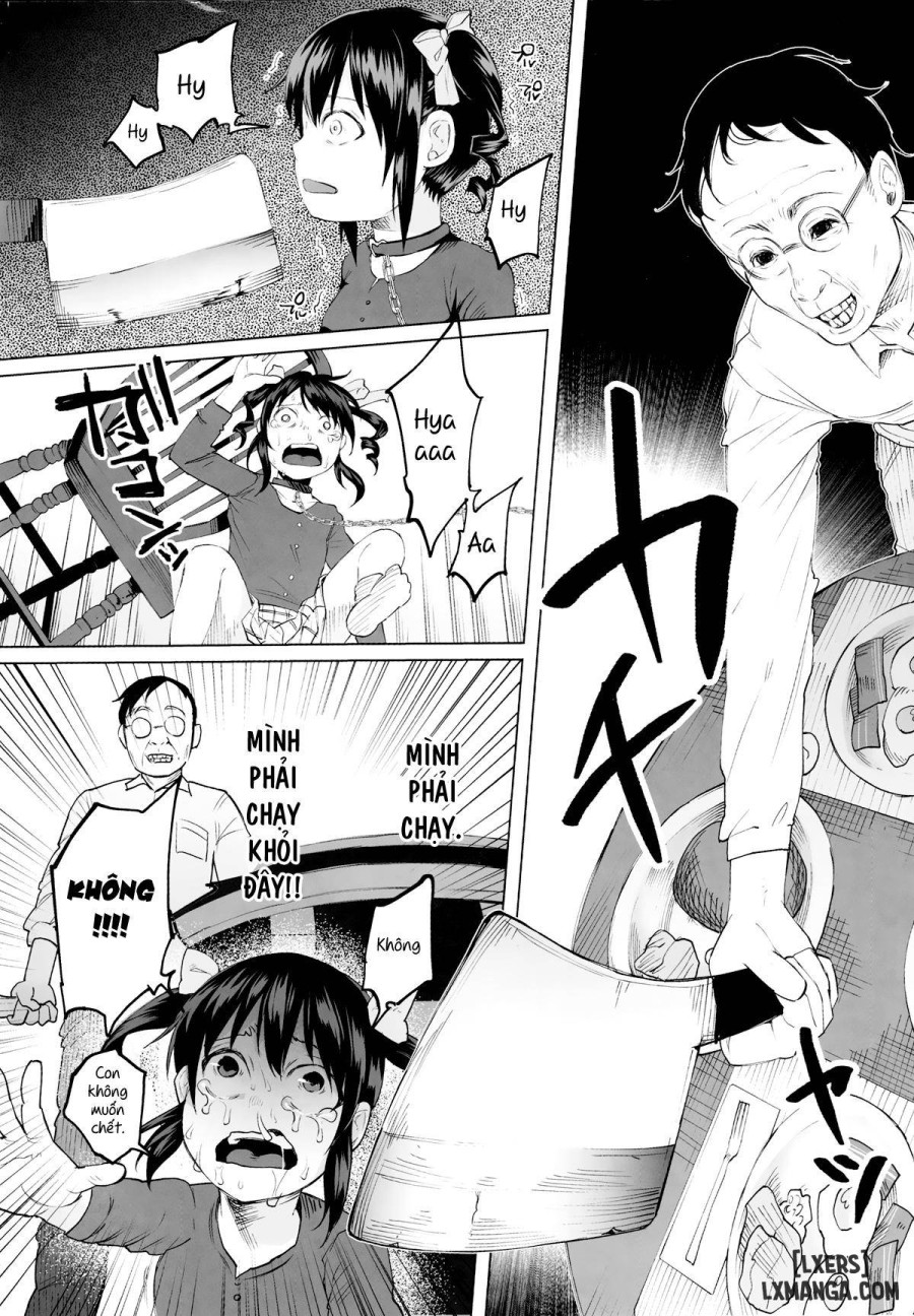 Junketsu Darumarriage 