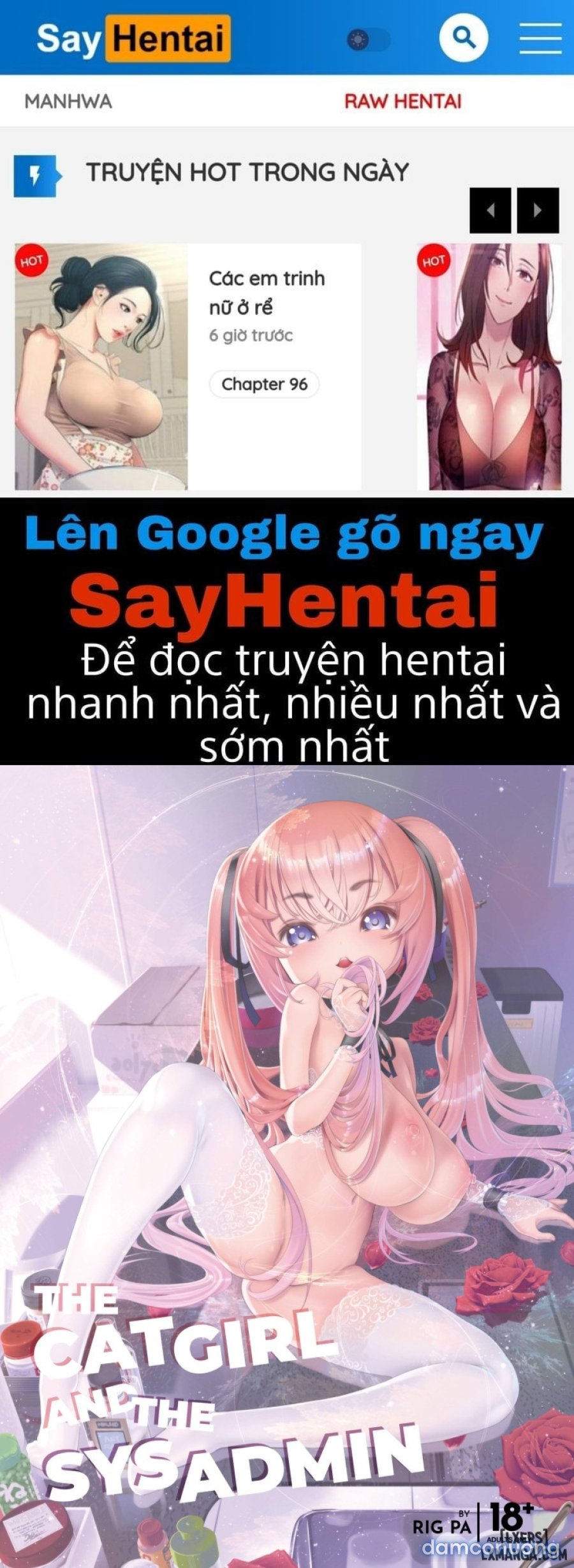 CÔ GÁI MÈO VÀ NGƯỜI QUẢN TRỊ HỆ THỐNG 