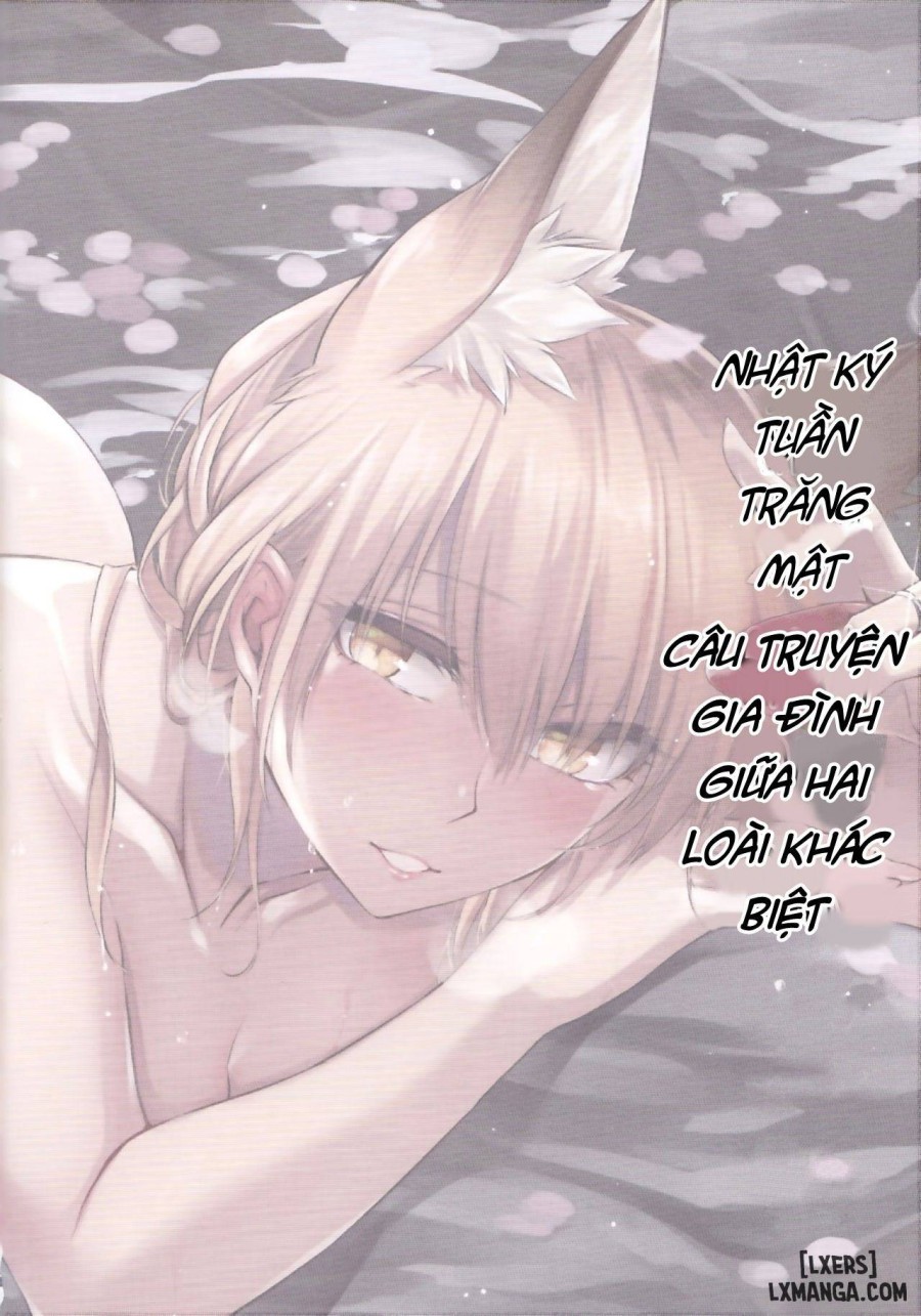 Irui Konintan 