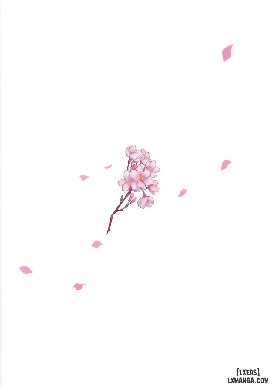 Irui Konintan 