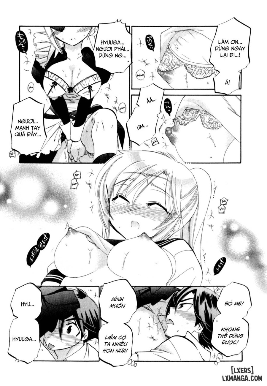 Iinari Princess 