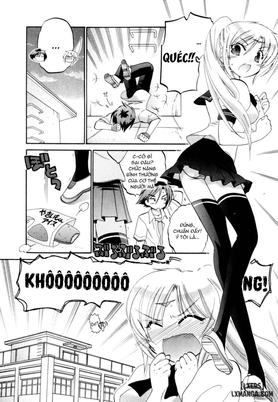 Iinari Princess 