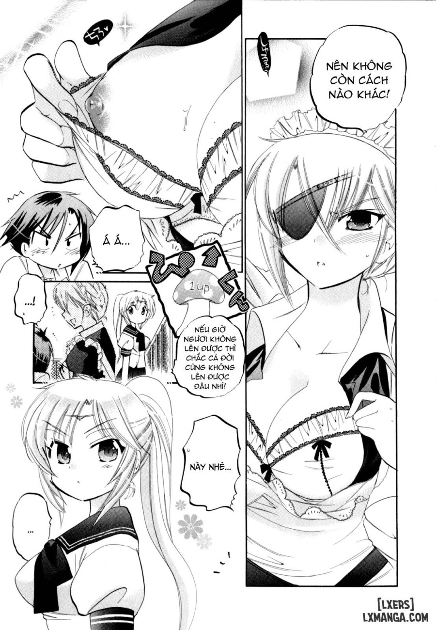 Iinari Princess 