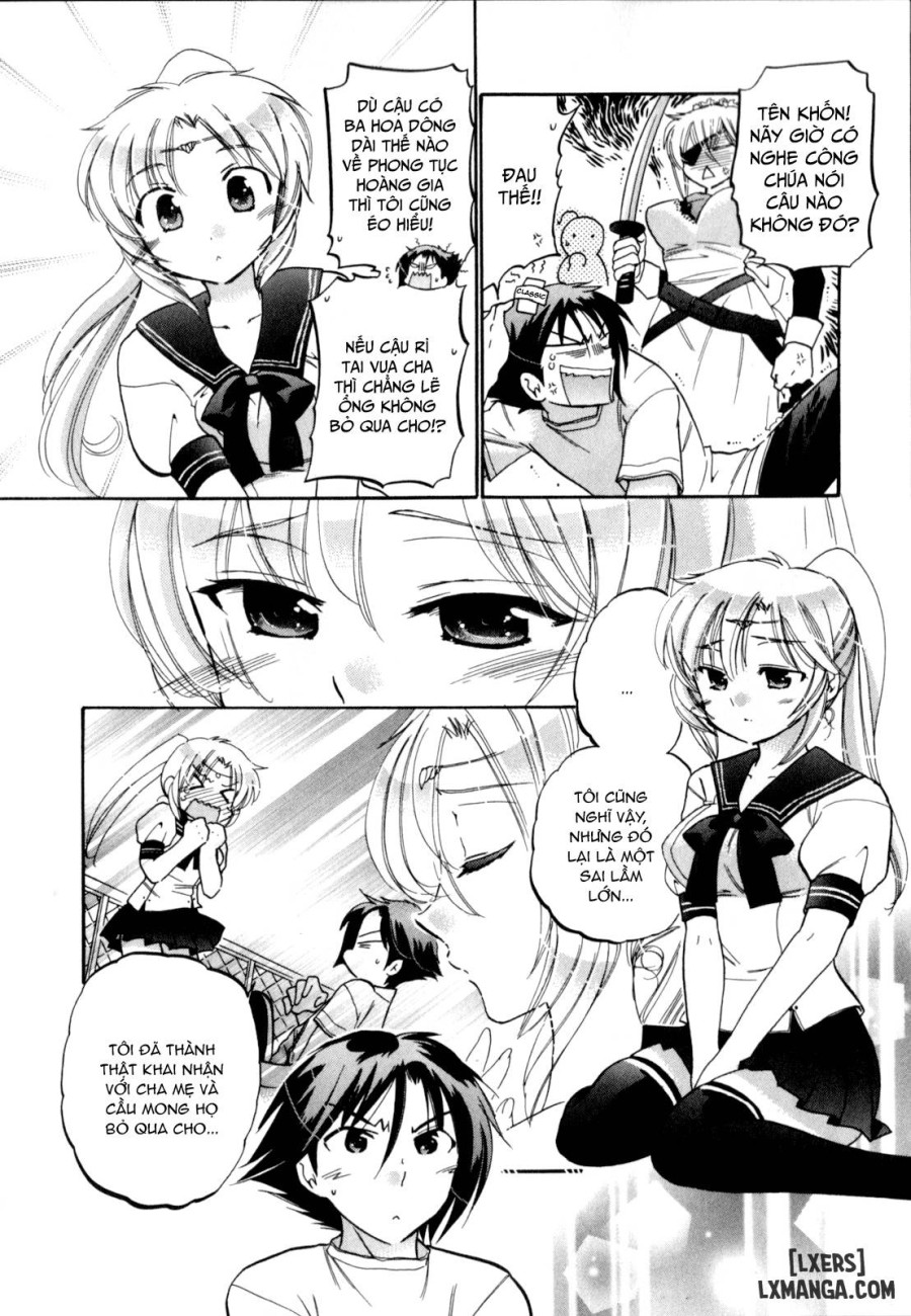 Iinari Princess 