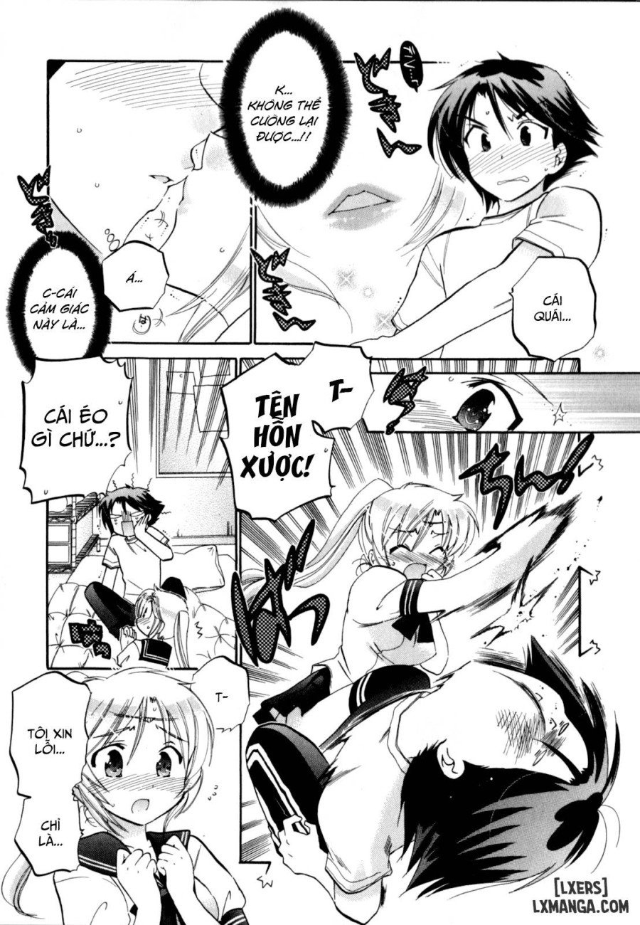 Iinari Princess 