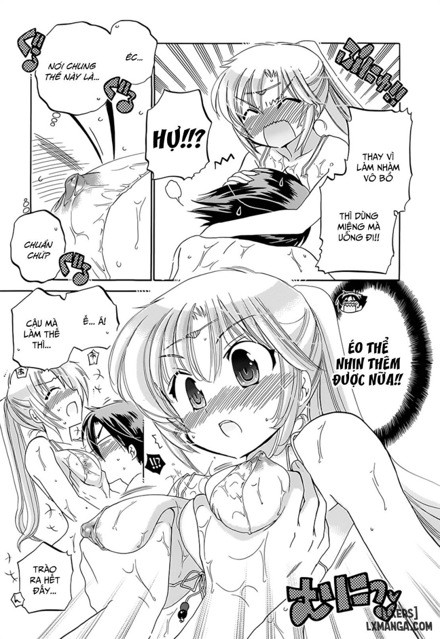 Iinari Princess 