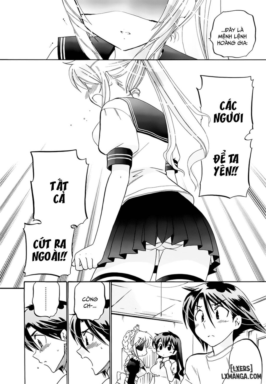 Iinari Princess 