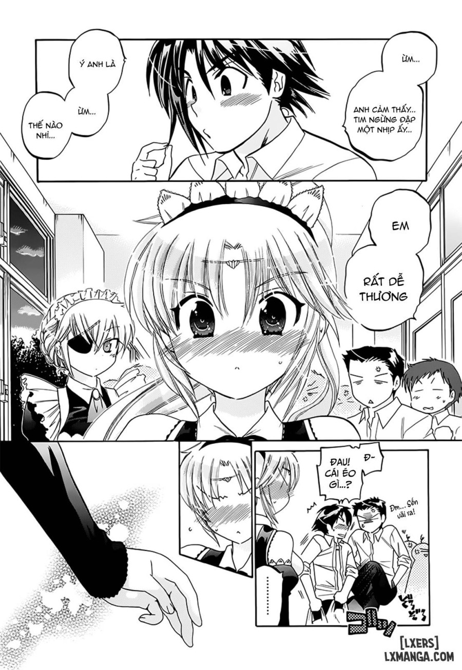 Iinari Princess 