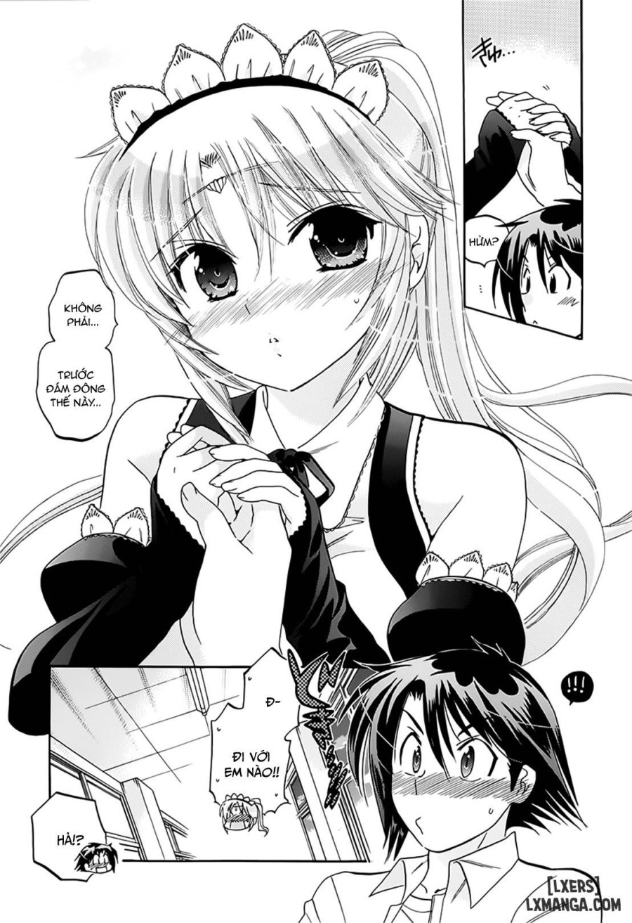 Iinari Princess 