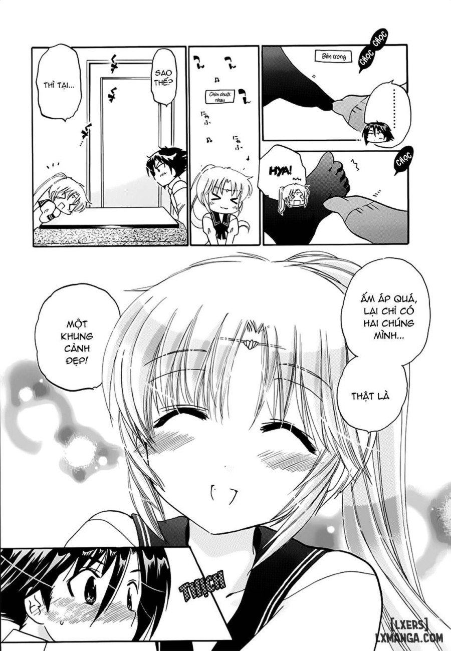 Iinari Princess 