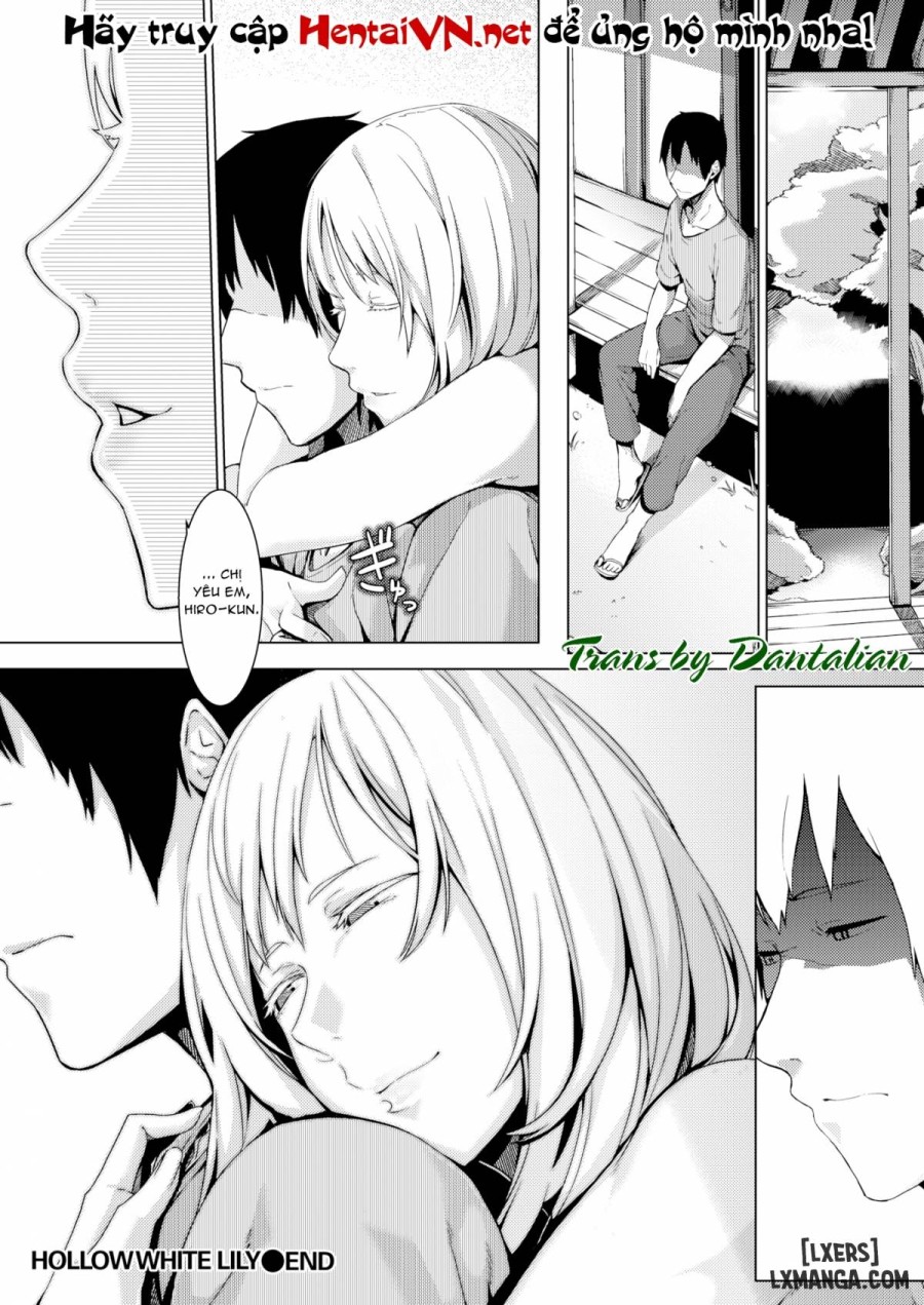 Hollow White Lily 