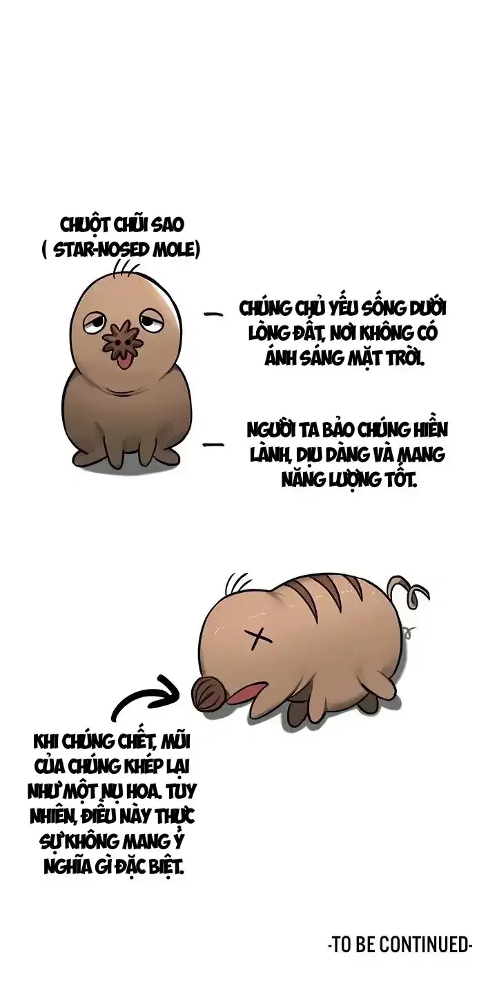 Thống trị (sex only) 