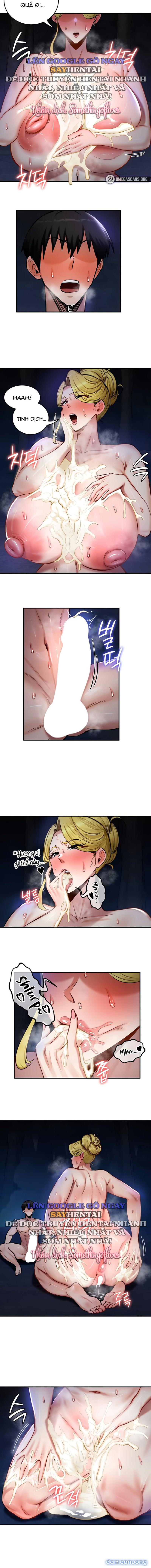 Thống trị (sex only) 