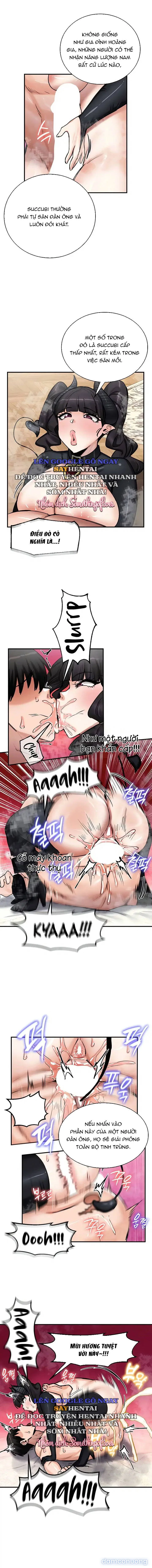 Thống trị (sex only) 