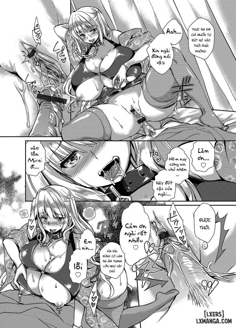 Hitozuma Fushin ~Inyoku ni Ochiru Bakunyuutachi 