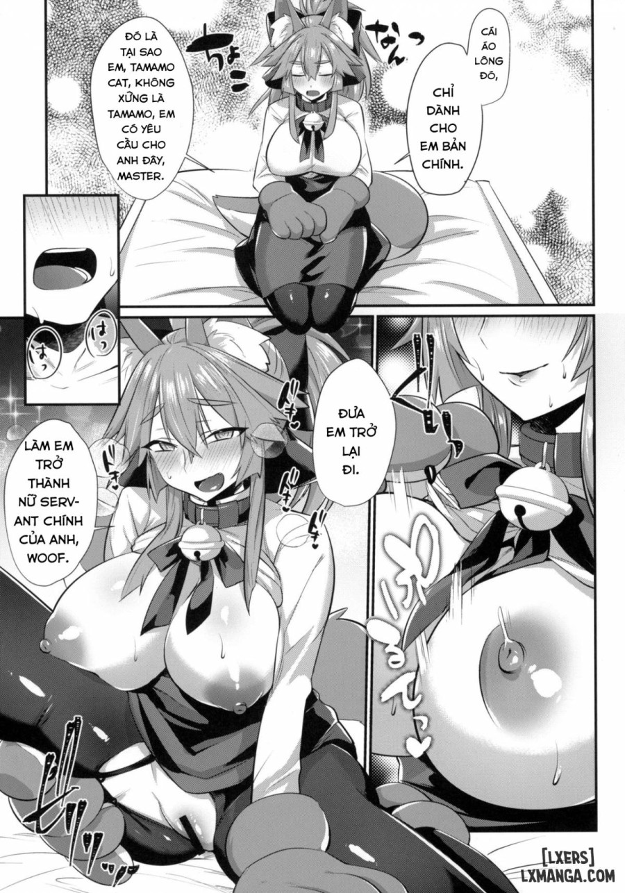 Gachihame Okigae Mesu Manko Henka B 