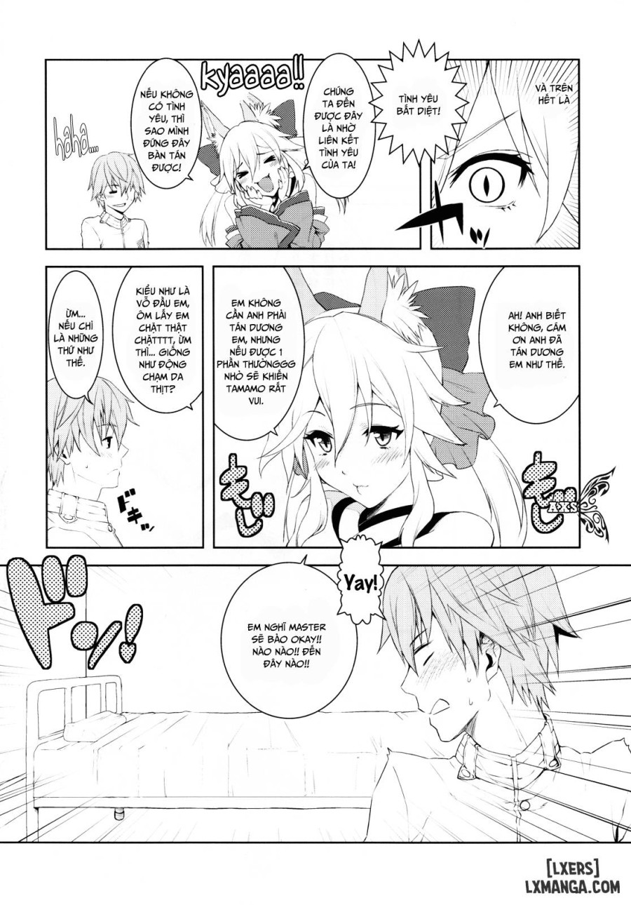 Fox Extra 