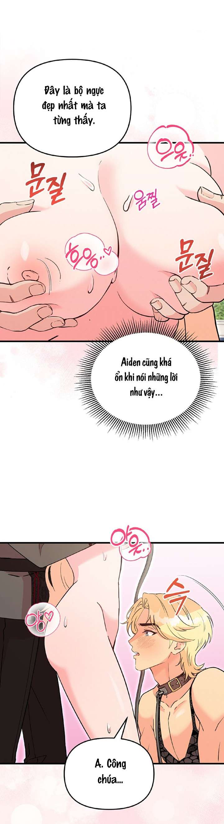 3 Chàng Trai Cùng Với Nàng Công Chúa 