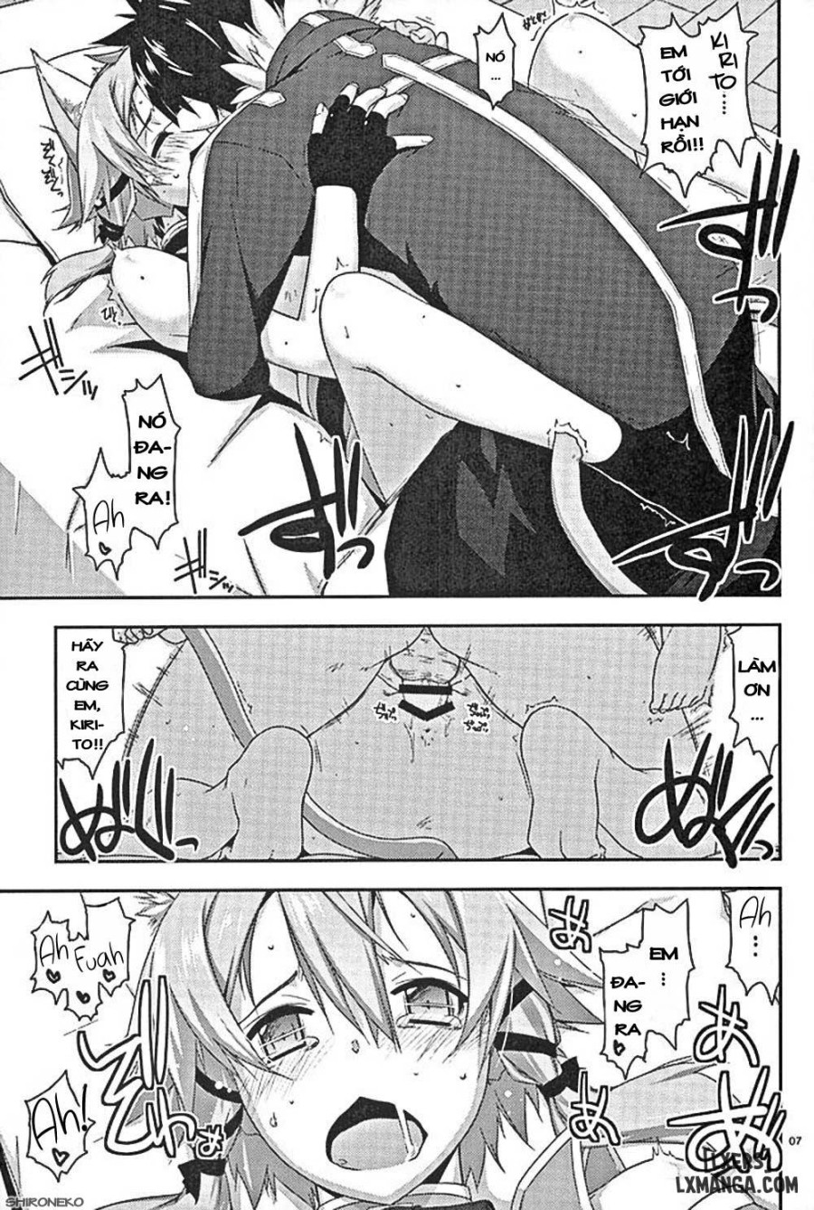 Envy 