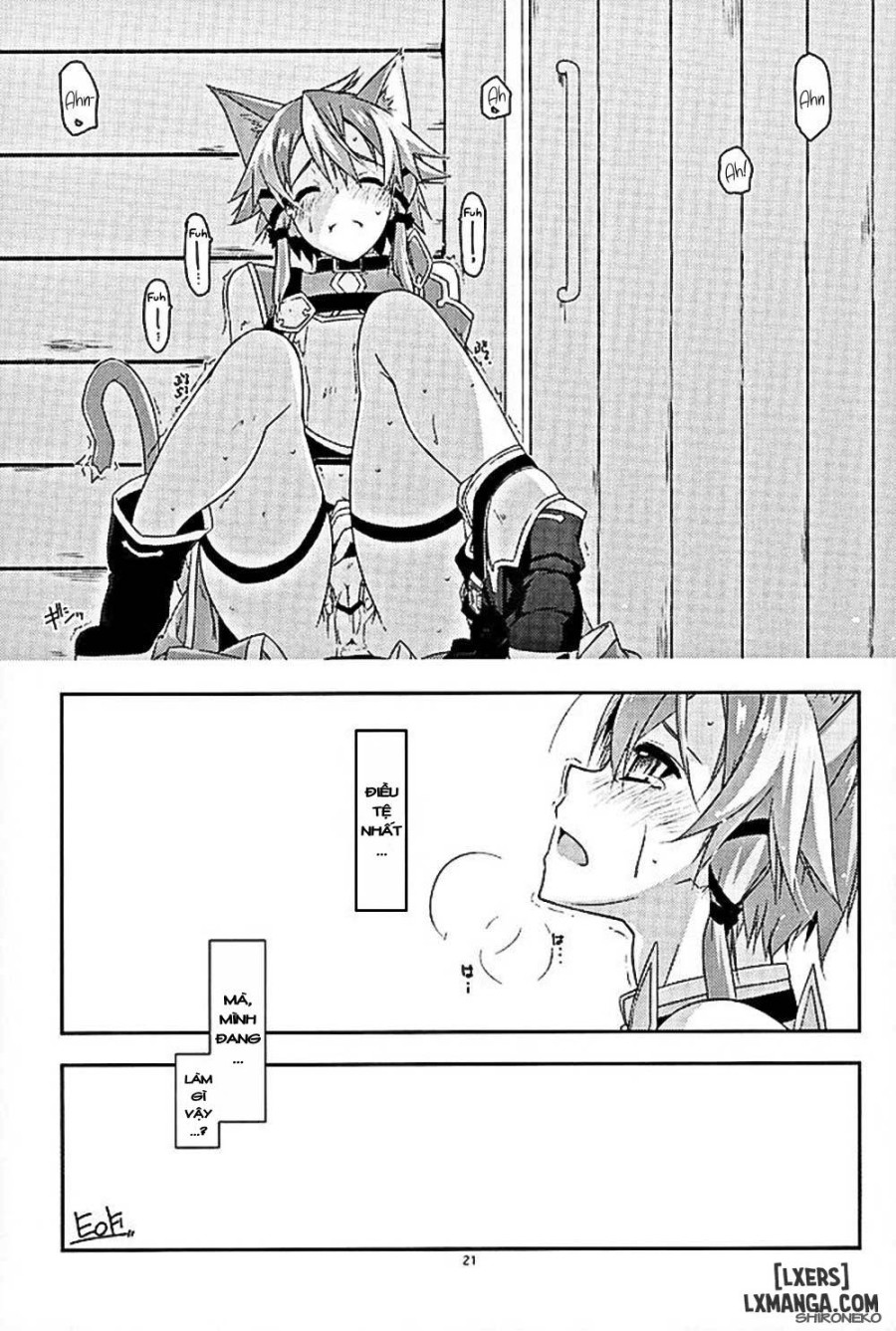 Envy 