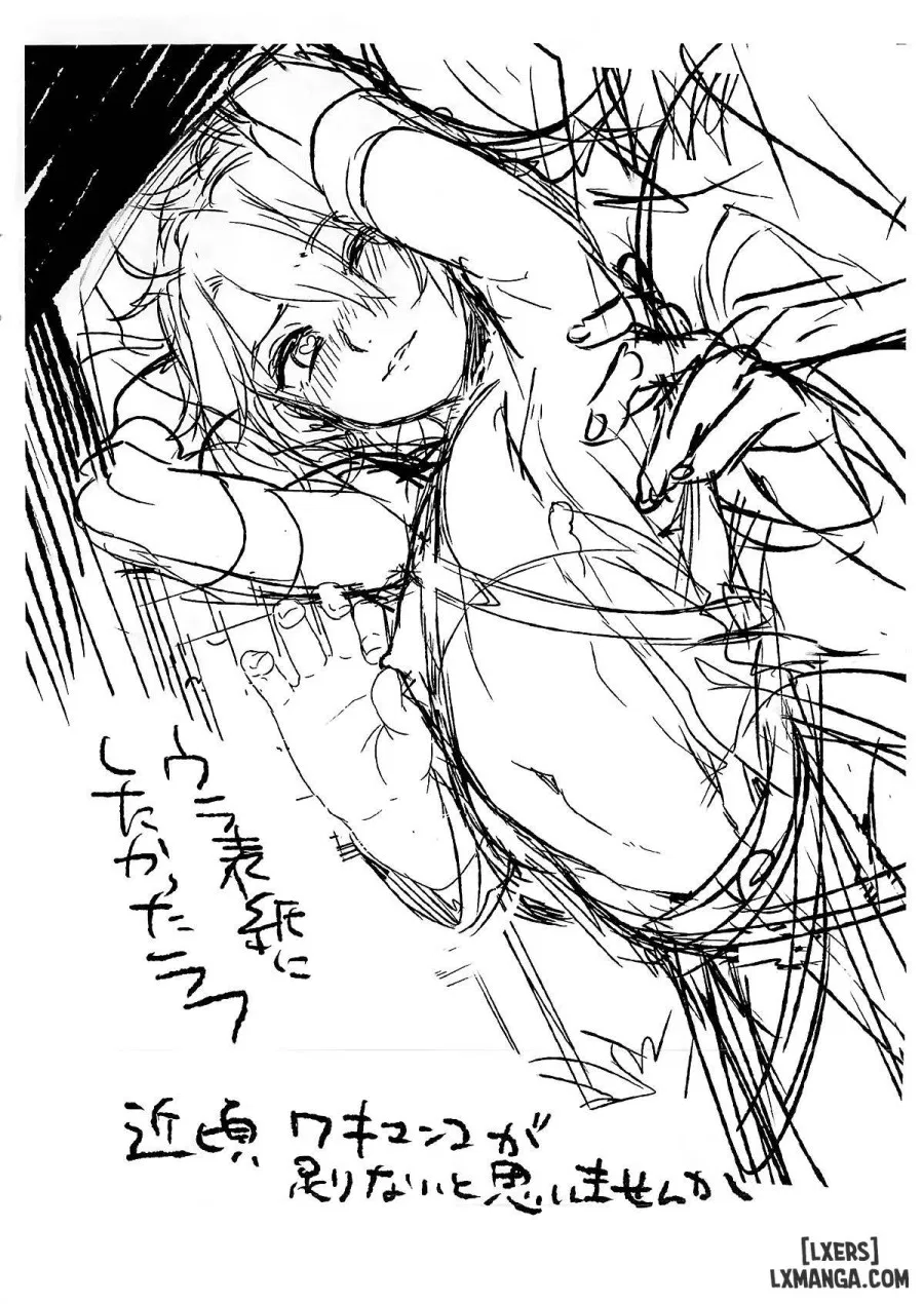Fate-DTorder 