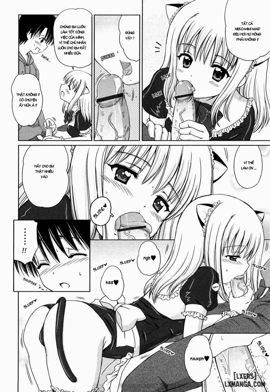 Daisuki Daisuki 