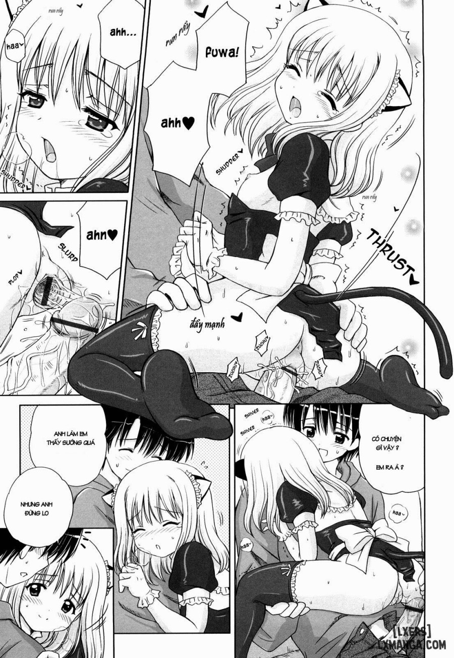 Daisuki Daisuki 