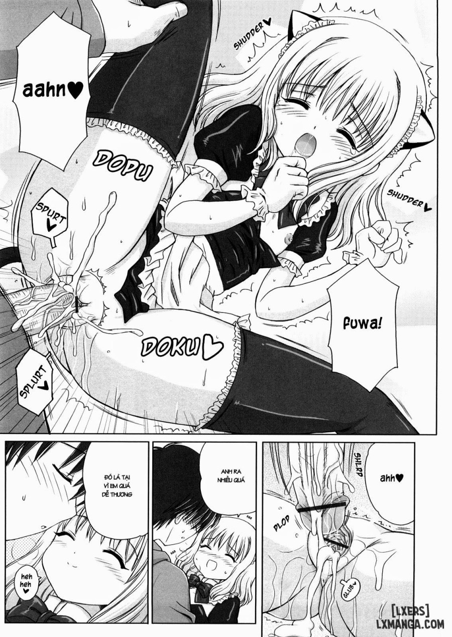 Daisuki Daisuki 