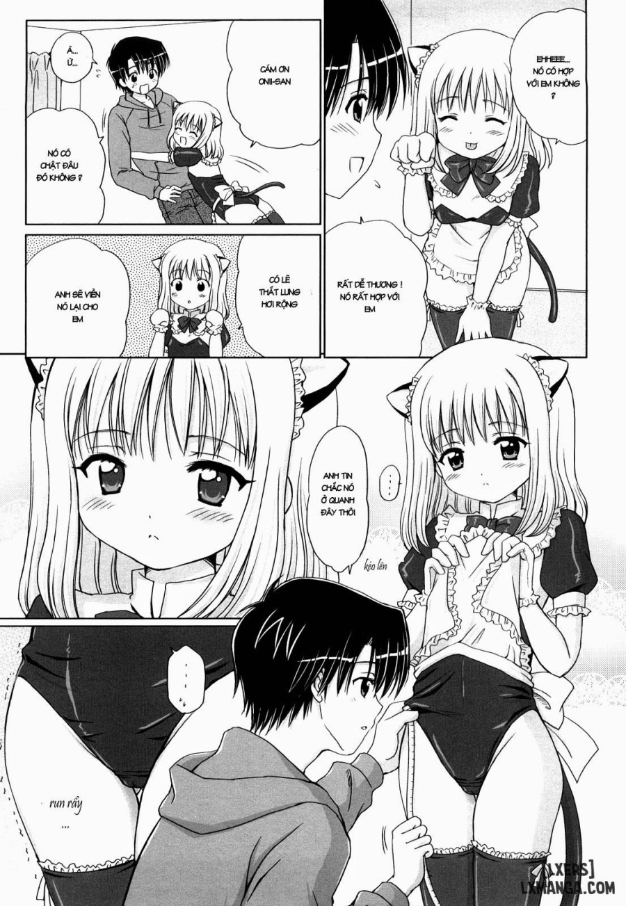 Daisuki Daisuki 