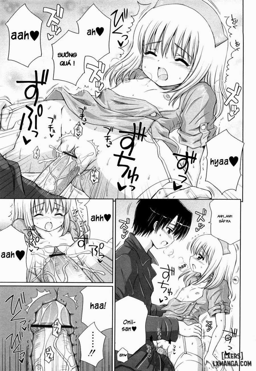 Daisuki Daisuki 