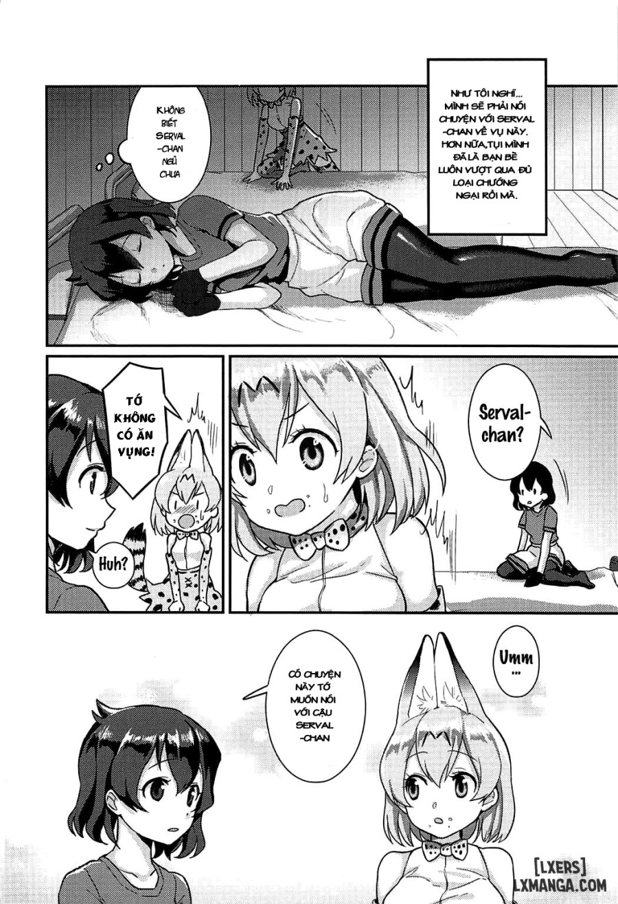 Daisuki ni Kimatteru 
